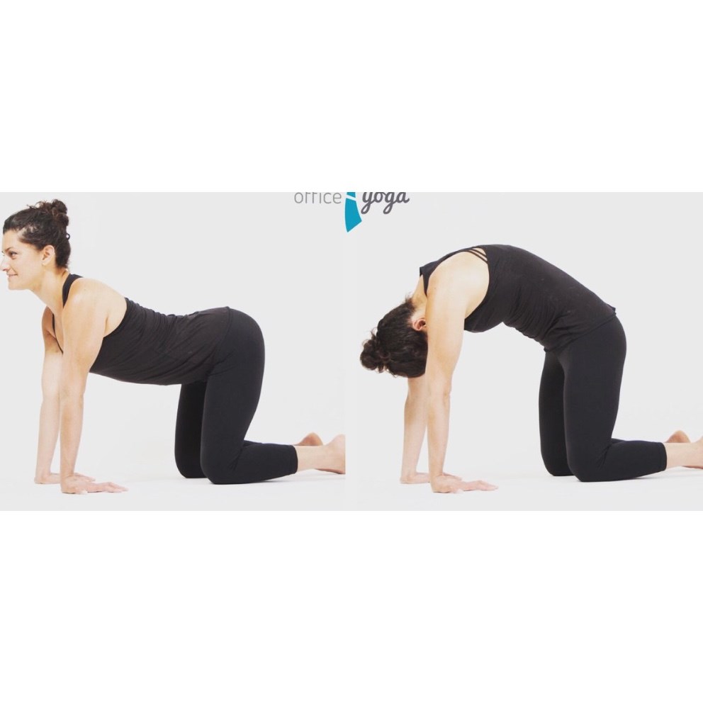 International Yoga Day 2020: How To Do Gomukhasana (Cow Face Pose) With  Right Technique And Posture? | OnlyMyHealth