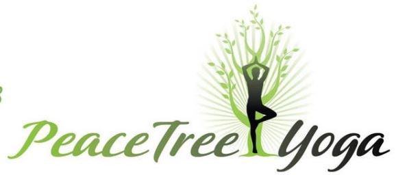 Tree Yoga Reviews, Profile & Contact - Tripaneer.com