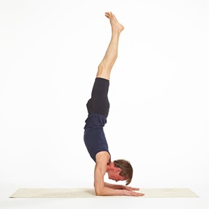 Forearm Stand Pose